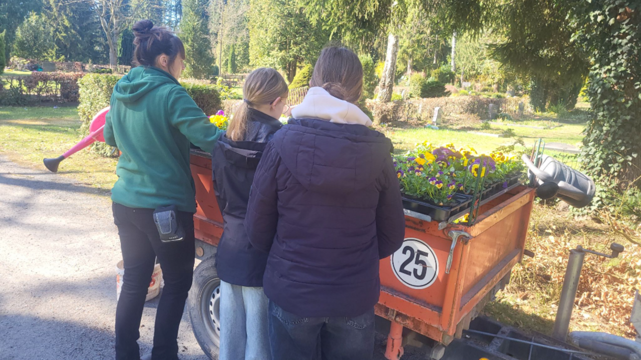 Stadt Neubrandenburg