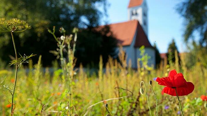 Gräfelfing - Blick vom Anger auf die alte Kirche St. Johanndes der Täufer