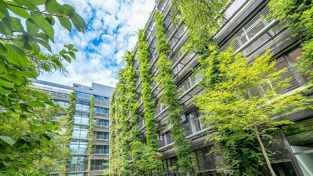 Fassadenbegrünung wie hier an einem Gebäude in Frankfurt wertet nicht nur das Stadtbild auf, sondern sorgt auch für ein besseres Klima.