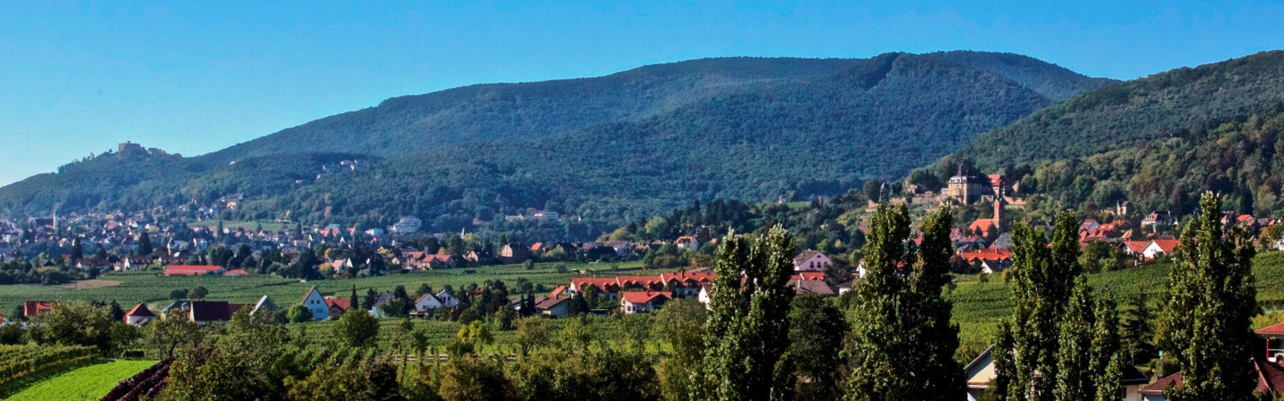 Neustadt an der Weinstraße - Blick auf die Stadt