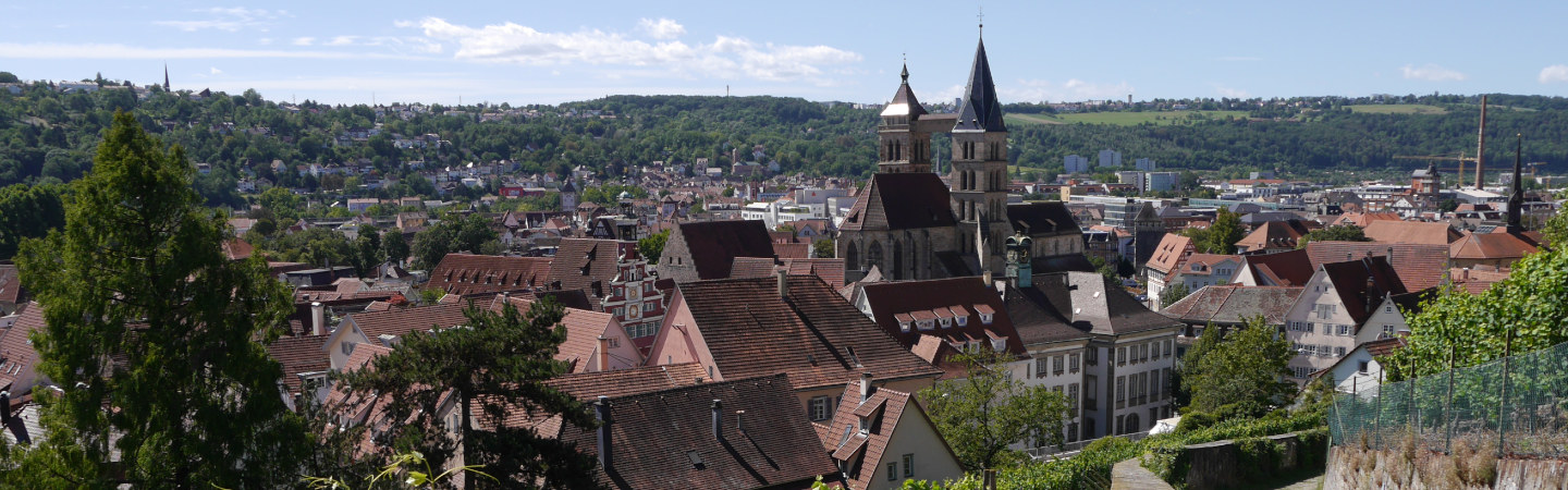 Esslingen - Blick auf die Stadtkirche
