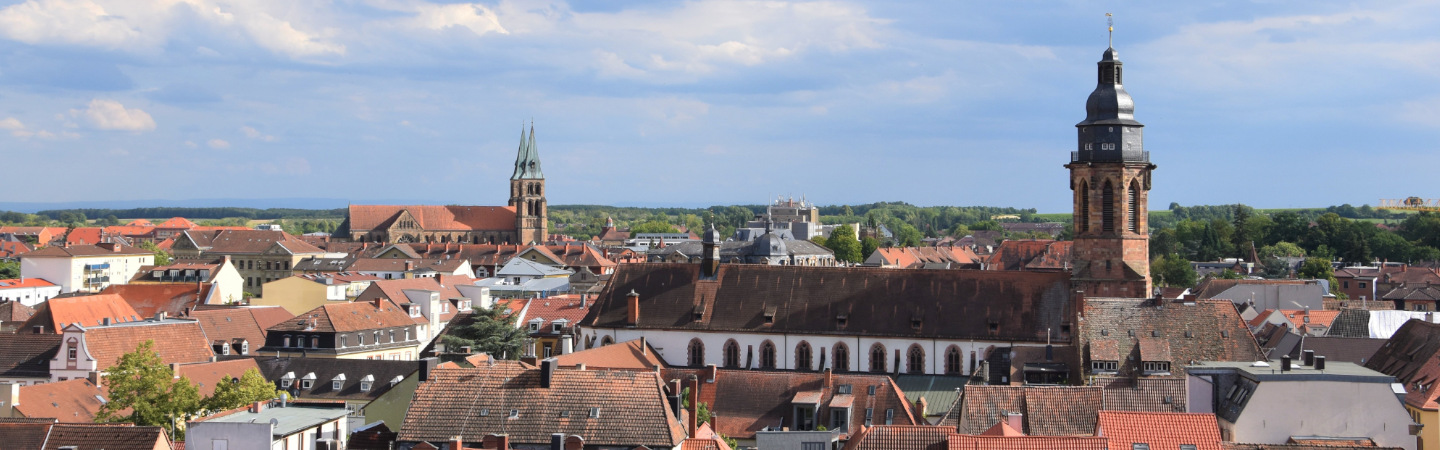 Panoramaaufnahme von Landau in der Pfalz
