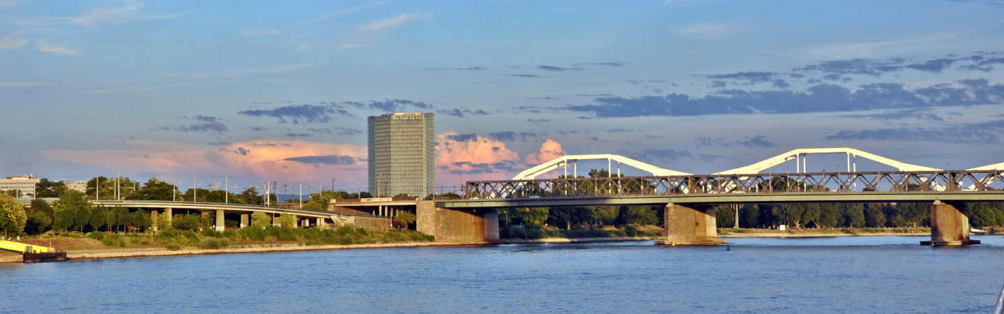 Panoramaaufnahme von Mannheim mit dem Viktoriaturm