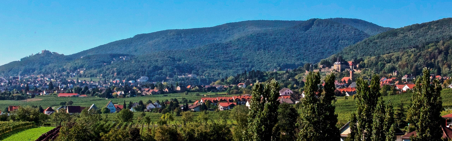 Neustadt an der Weinstraße - Blick auf die Stadt