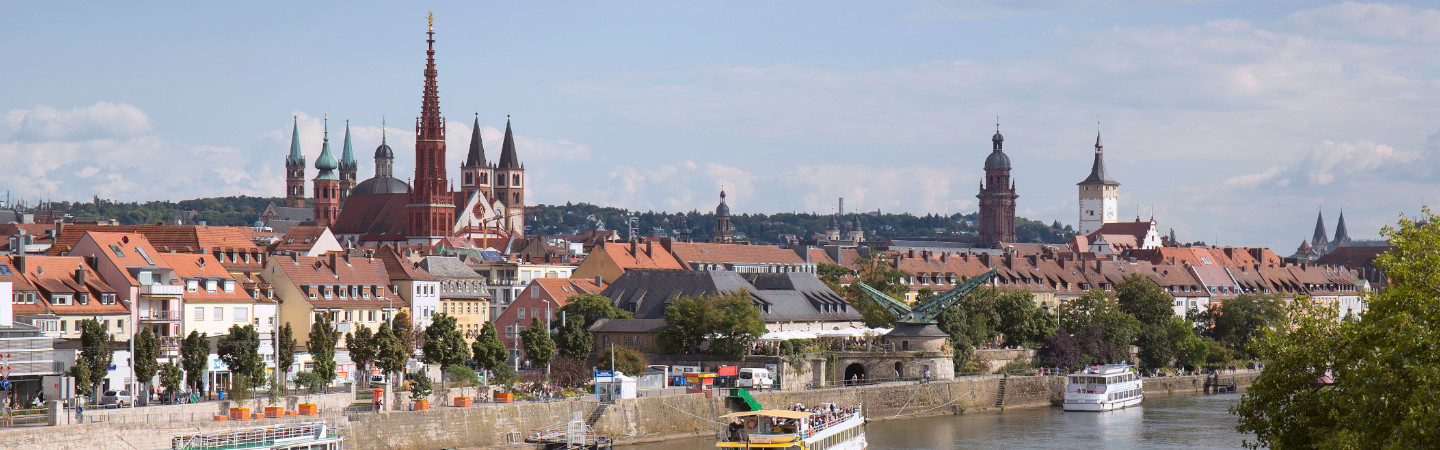 Blick auf Würzburg